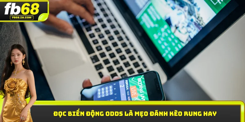 Đọc biến động Odds là mẹo đánh kèo rung hay