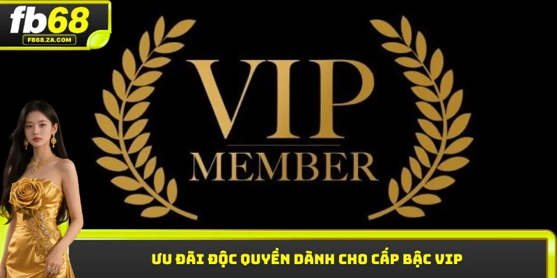 Ưu đãi độc quyền dành cho cấp bậc VIP