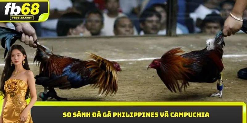 So sánh đá gà Philippines và Campuchia